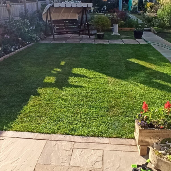 Standard Lawn Turf (sq yd Roll) - Image 5